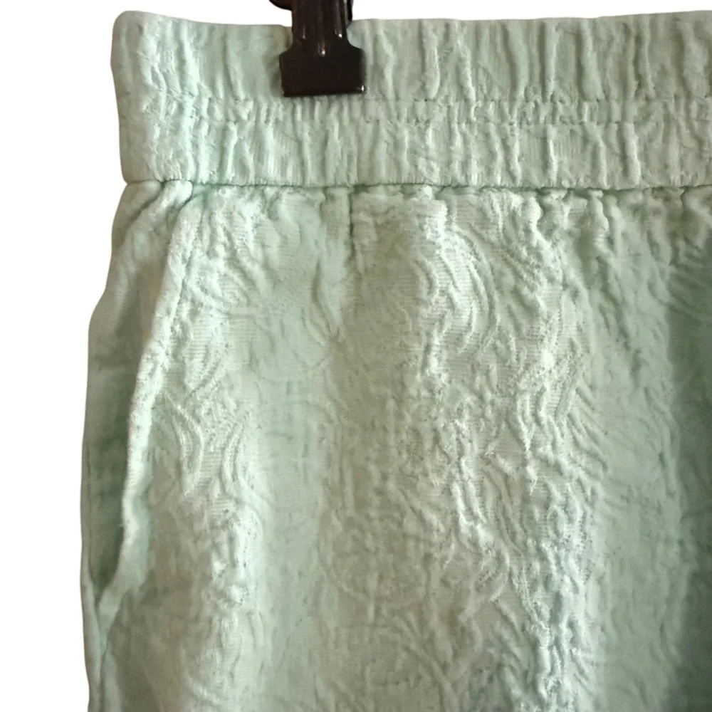 J Crew Women's 4 classic Shorts Cotton Mint Green Textured beach spring summer